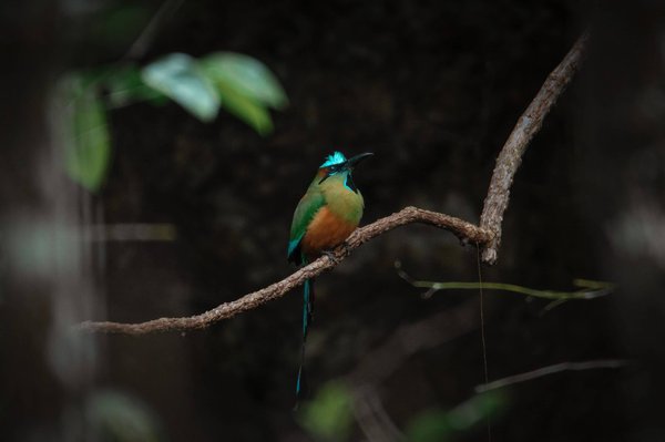 comment utiliser les témoignages clients dans votre stratégie marketing pour renforcer votre crédibilité